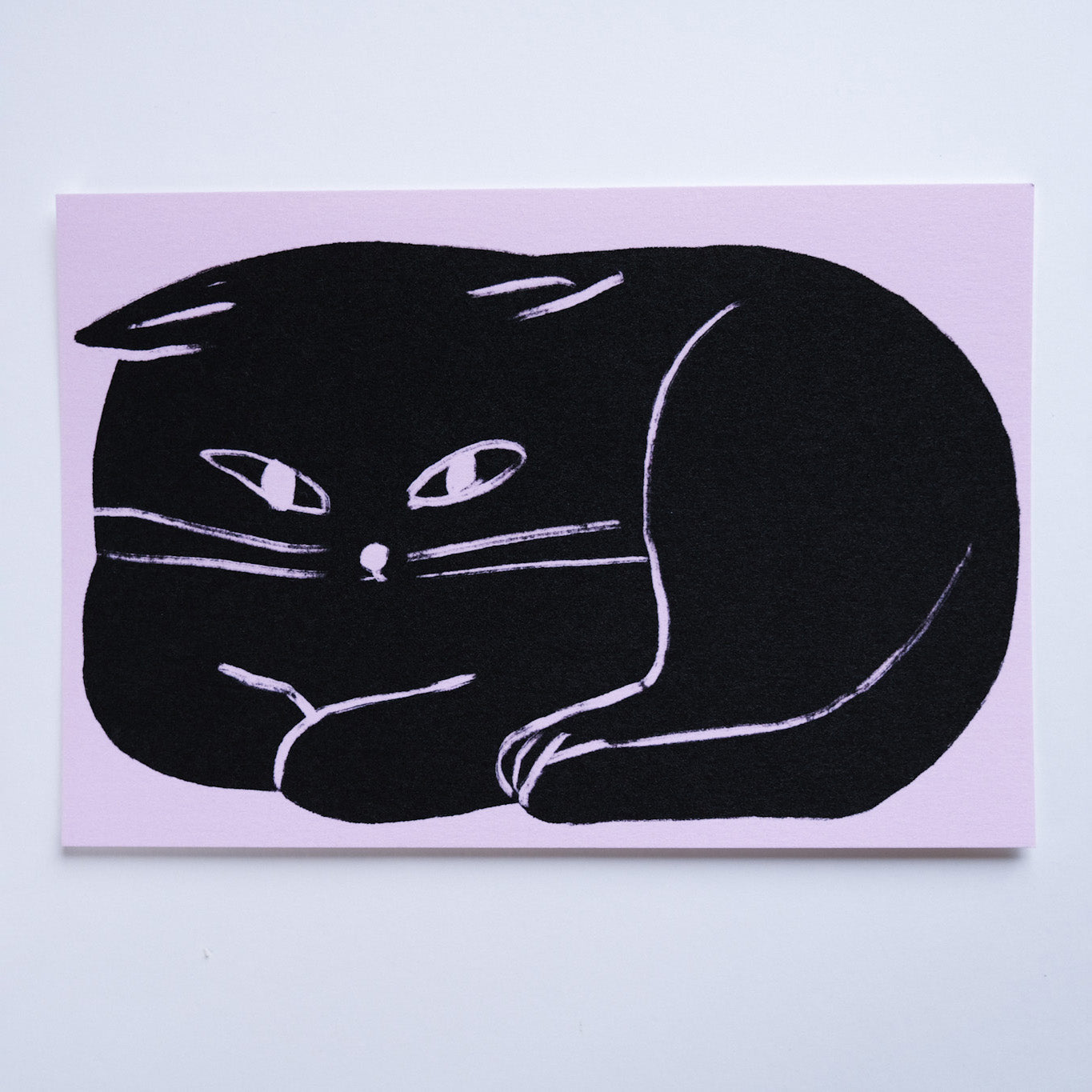 Cat Postcard Set