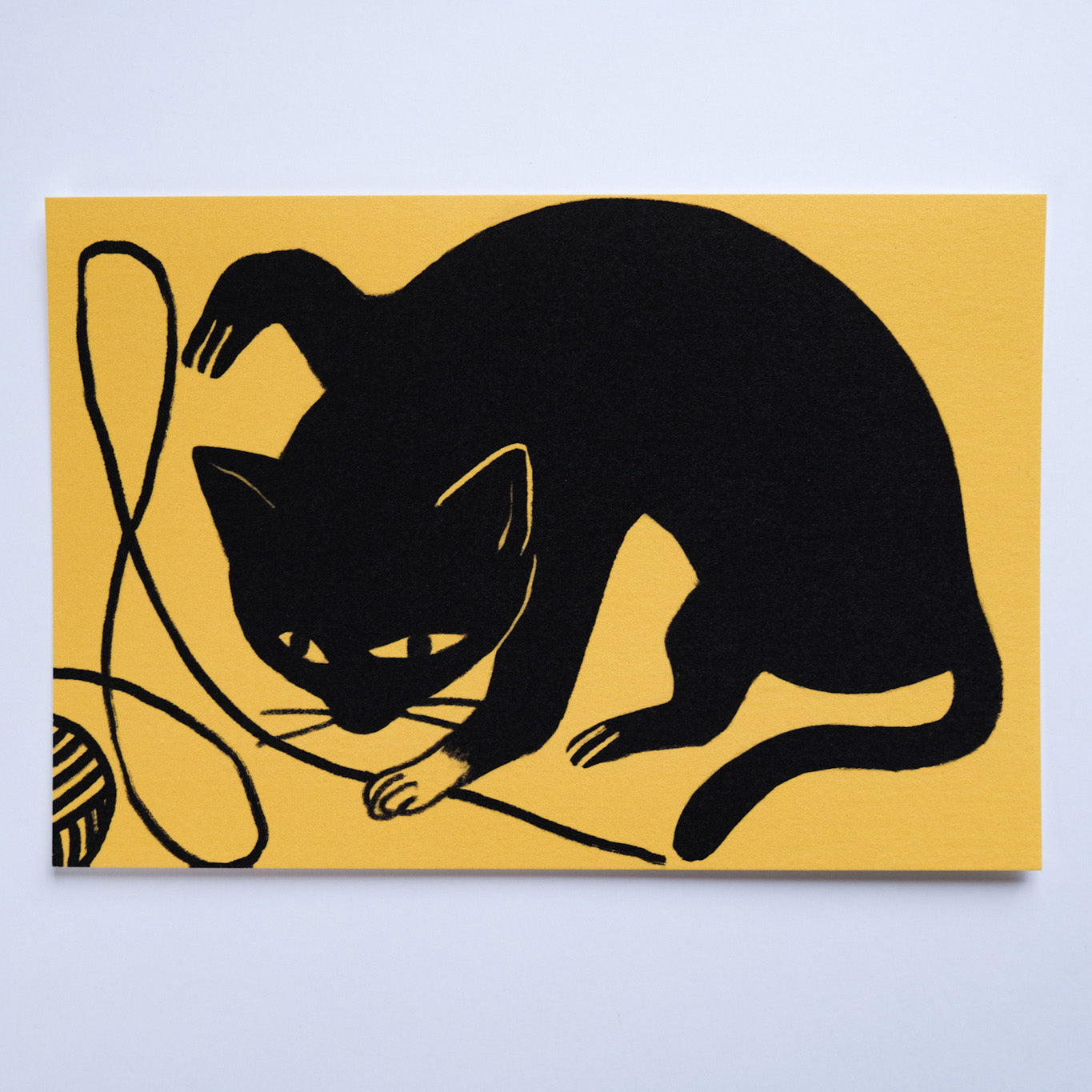 Cat Postcard Set