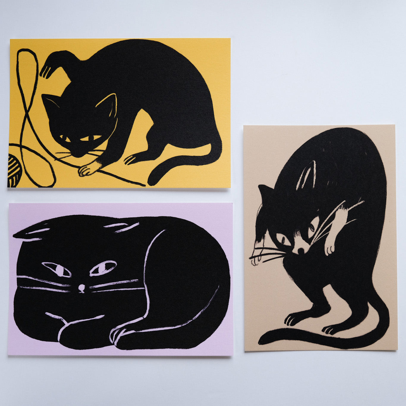 Cat Postcard Set